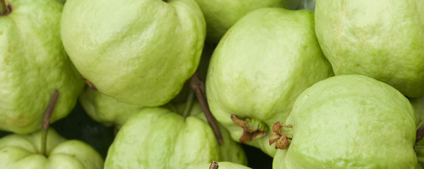 Natural Guava Type FL PG (7237069) banner