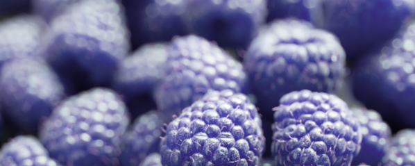 Natural Blue Raspberry Type FL WS (7237060) banner