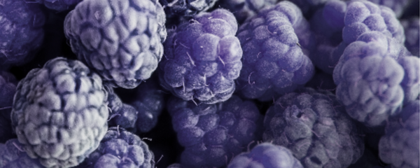 Natural Blue Raspberry Type FL WS (7237061) banner