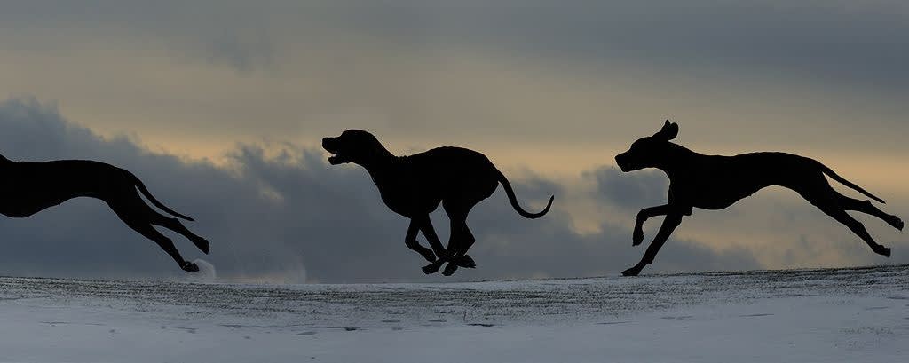 NOVASTA® EB15 banner