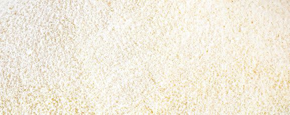 Eggshell Membrane Collagen Support Complex banner