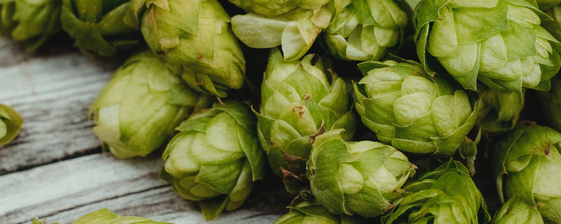 Callisons Hops Willamette Type Flavor Nat WS (104639) banner