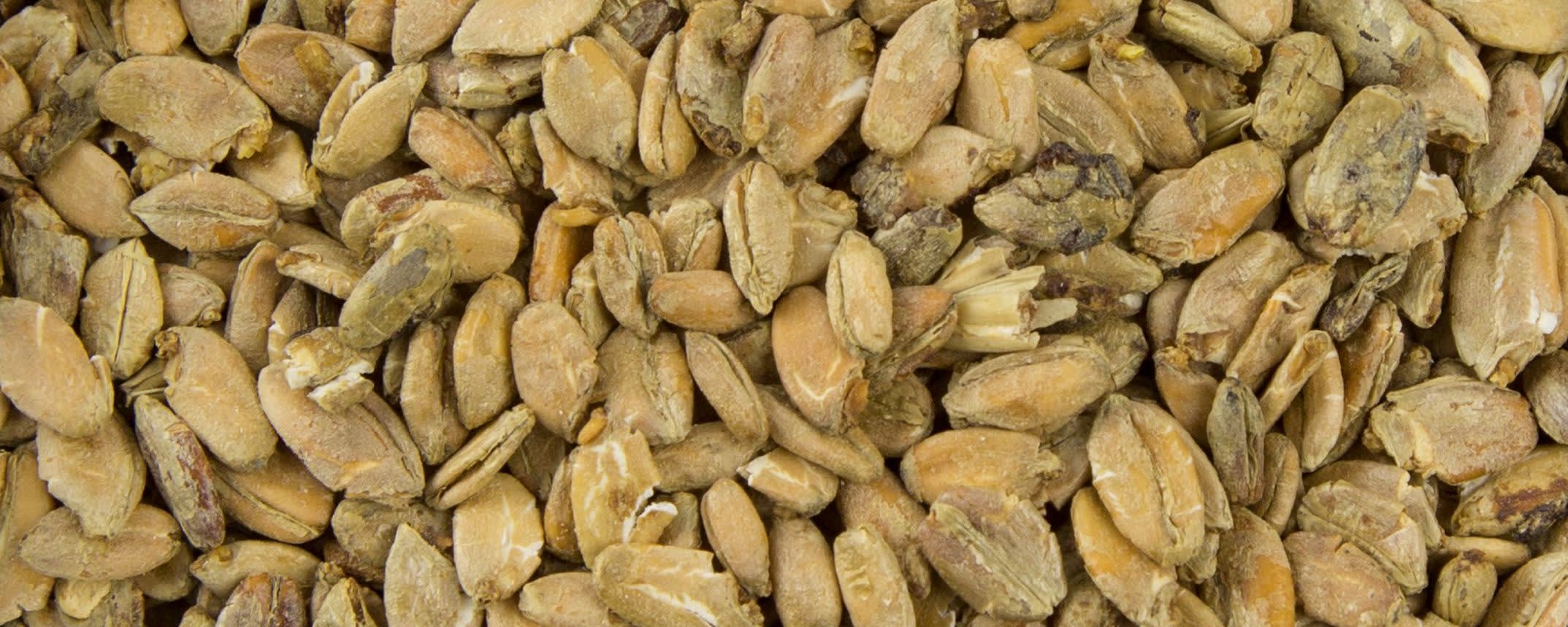 Muntons Malted Rye Flakes banner