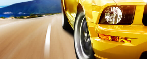 DOMACRYL 521 60 X banner