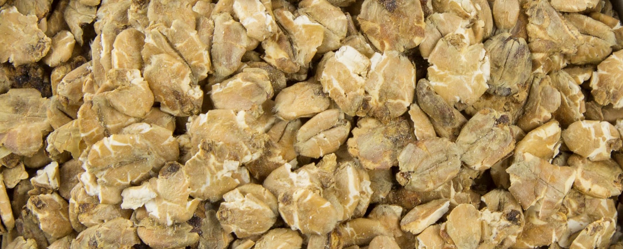 Muntons Organic Malted Wheat Flakes banner