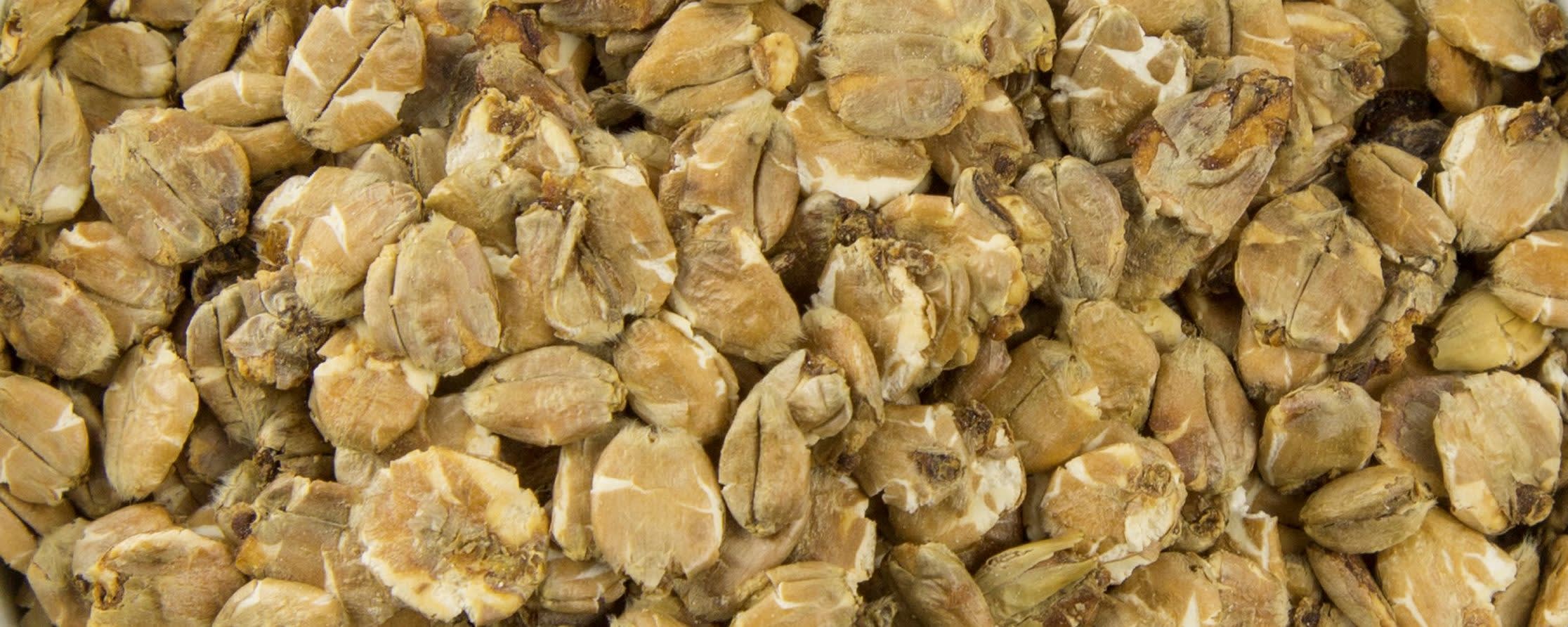 Muntons Malted Wheat Flakes (Thick) banner