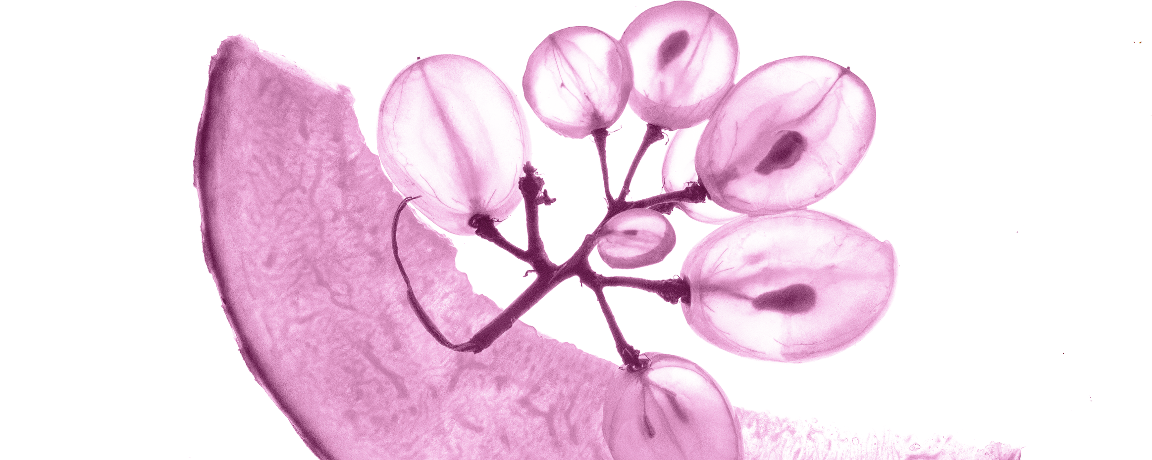 Skinax²™ PR-0092 banner