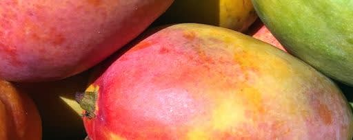 Callisons Mango Pineapple Type Flavor NAT SD (112138) banner