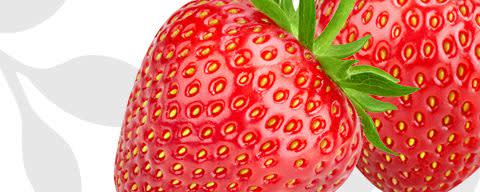 Products - Flavor Producers - Knowde - 2