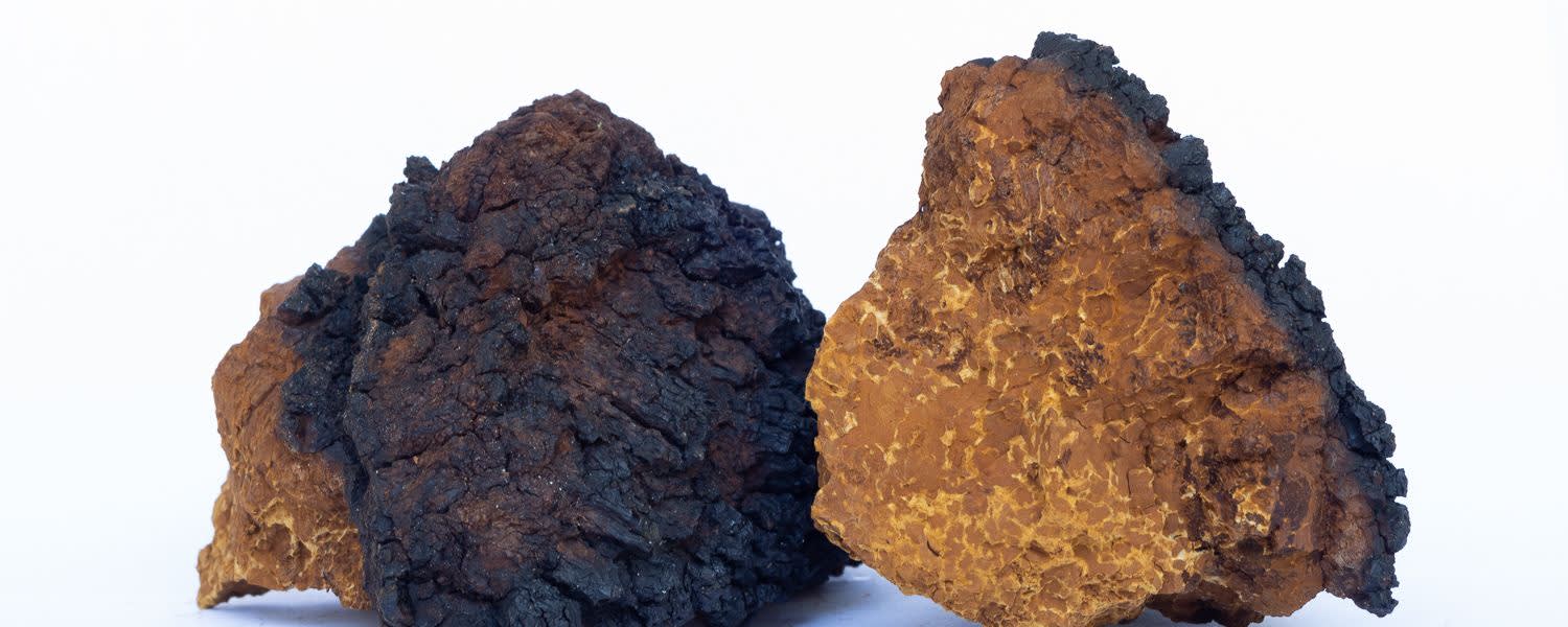 Nammex Chaga Extract 1:1 banner
