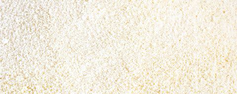 Eggshell Membrane Collagen Support Complex banner