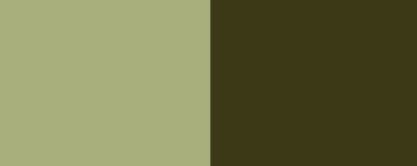FCF PCD Liquid Dyes Sage (#PCD16752) banner