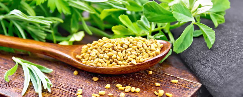 Naturex FENUGREEK SEED SE OC (AC320107) banner