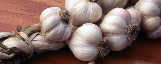 Naturex GARLIC PUREE, LIGHT ROASTED, ACIDIFIED (NV01PB20) banner