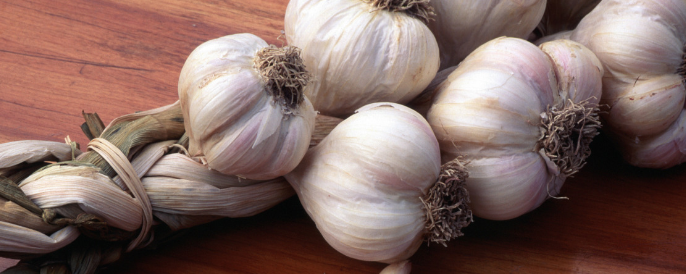 Naturex GARLIC JUICE, REFRIGERATED (NV0RJP20) banner