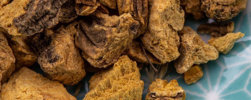 Naturex Gentian Root SE GMO Free (AC620722) banner