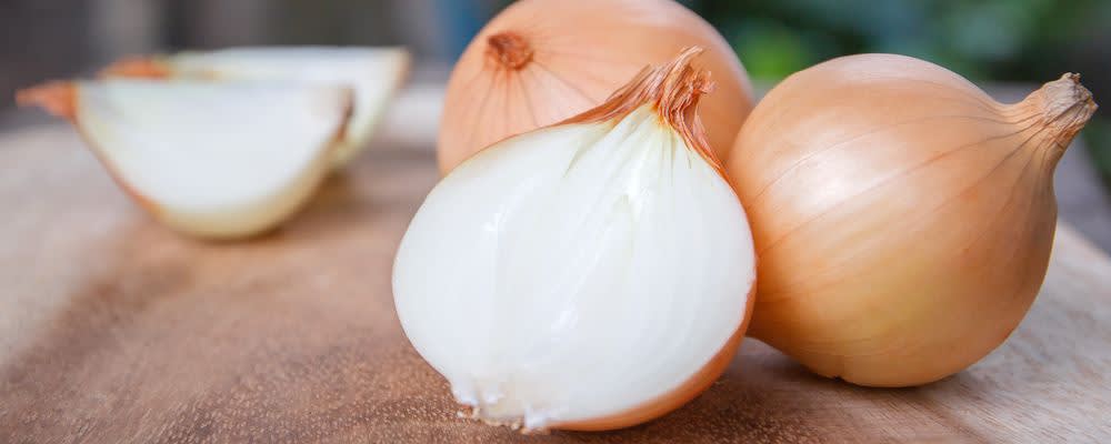 Naturex ONION PUREE, REFRIGERATED (NV0RPD14) banner