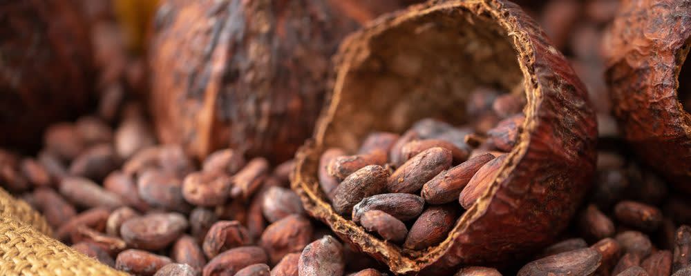 Naturex Cocoa Concentrate (AJ620260) banner