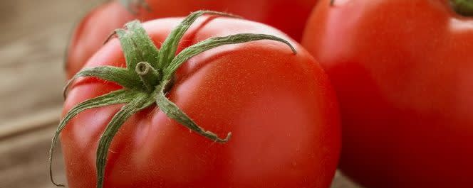 Naturex TOMATO PUREE, LIGHT ROASTED (NV01PB01) banner