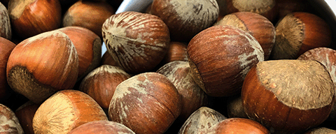 Brown Notes & Nuts Flavours Organic Vanilla Extract, Fair Trade (392305) banner