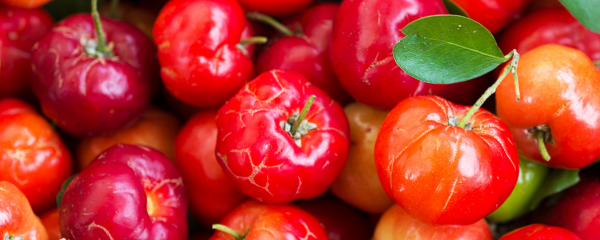 New Acai Amazonas Conventional Acerola Juice Powder 17% VIT C (885506) banner