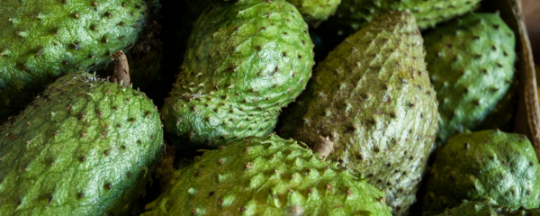 New Acai Amazonas Conventional Graviola Juice Powder (885017) banner