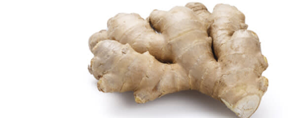 Tulkoff® Ginger Puree banner