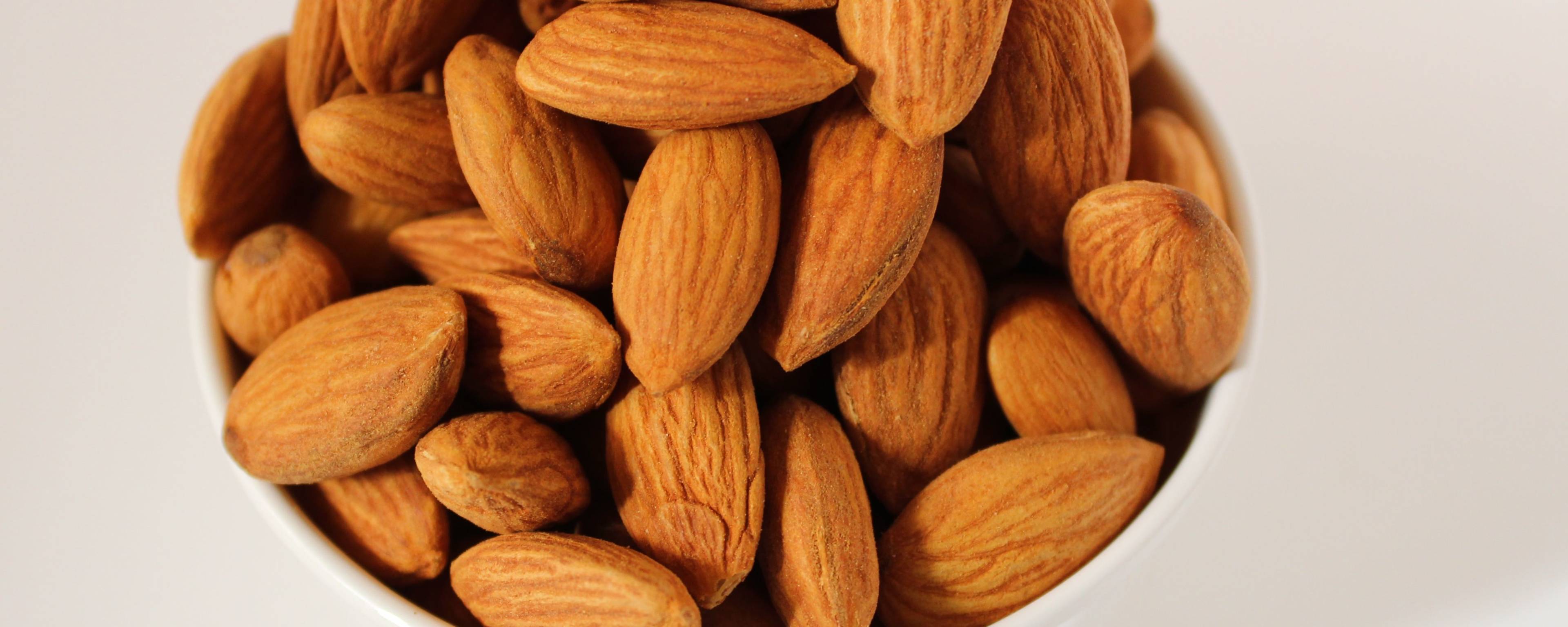Northside Food Company Almonds | Natural Sliced banner