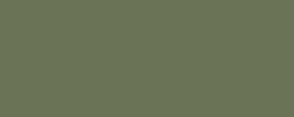 BARI Pigment Dispersion (Footwear) banner