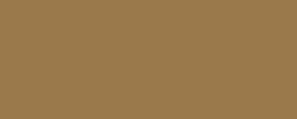 BERNINI Pigment Dispersion (Footwear) banner