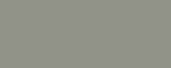 BRIDGE GREY Pigment Dispersion (Flooring) banner