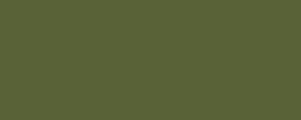 CAPER Pigment Dispersion (Footwear) banner