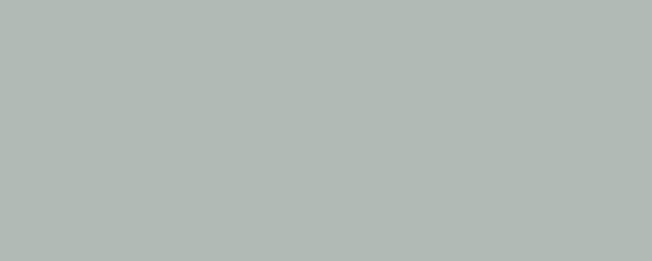STONE Pigment Dispersion (Footwear) banner