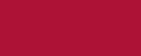 LADYBUG Pigment Dispersion (Footwear) banner