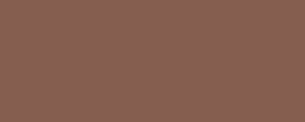 MARS Pigment Dispersion (Footwear) banner