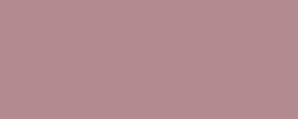PALOMA Pigment Dispersion (Footwear) banner