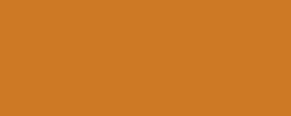 TANGERINE Pigment Dispersion (Footwear) banner