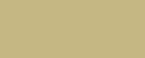 CREAM BEIGE Pigment Dispersion (Flooring) banner
