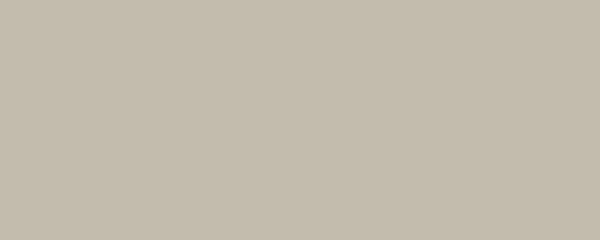 DINGO Pigment Dispersion (Footwear) banner