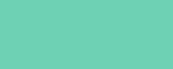 JADE Pigment Dispersion (Footwear) banner