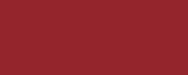 PITAGORA Pigment Dispersion (Footwear) banner