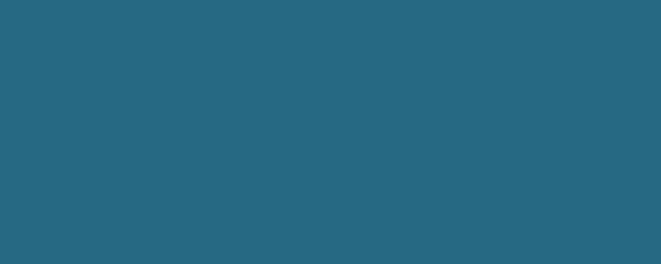 PUCCINI Pigment Dispersion (Footwear) banner