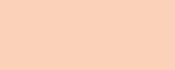 RIGOLETTO Pigment Dispersion (Footwear) banner