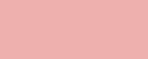 VENUS Pigment Dispersion (Footwear) banner