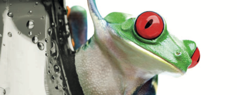 Trazidin VN banner
