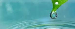 BioLoop 68 L-PG banner