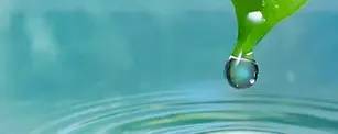 Lansurf SMS60 banner