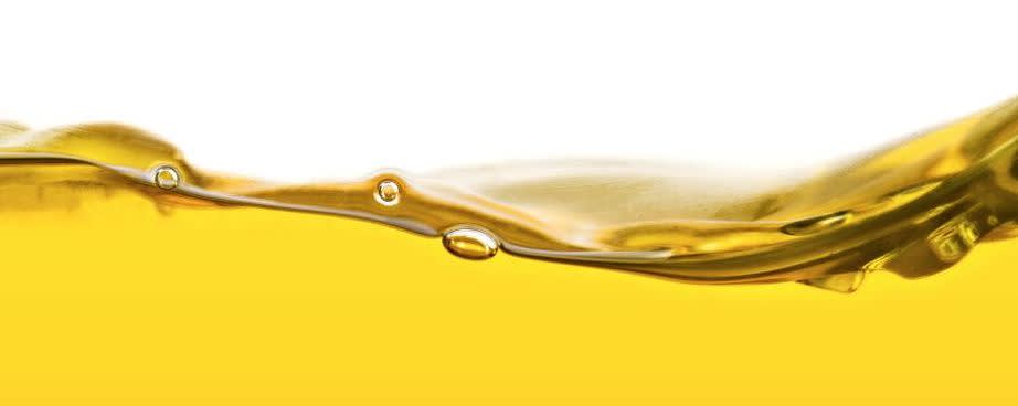 Alternative Oil Premium Frying Oil banner