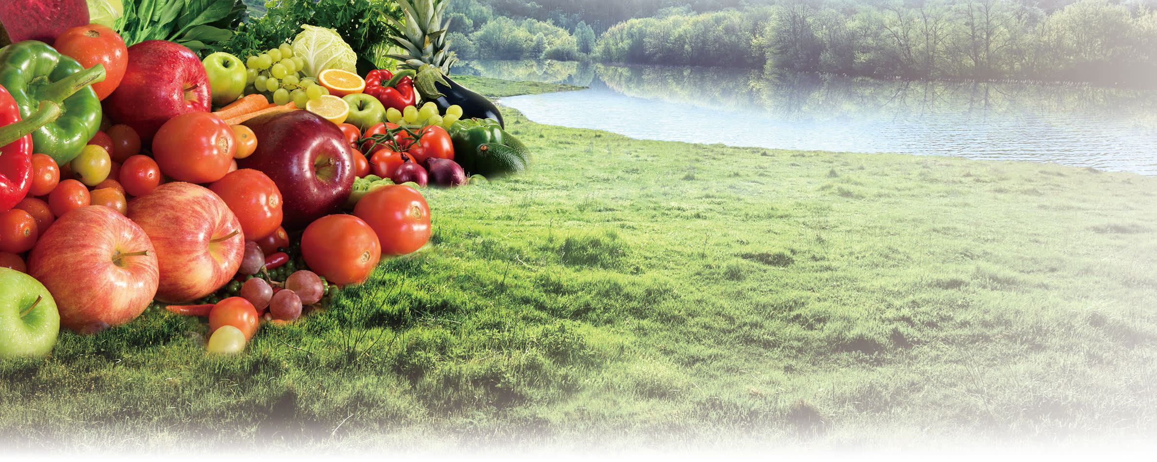 BraziZyme® Fermented Fruits and Vegetables Powder banner