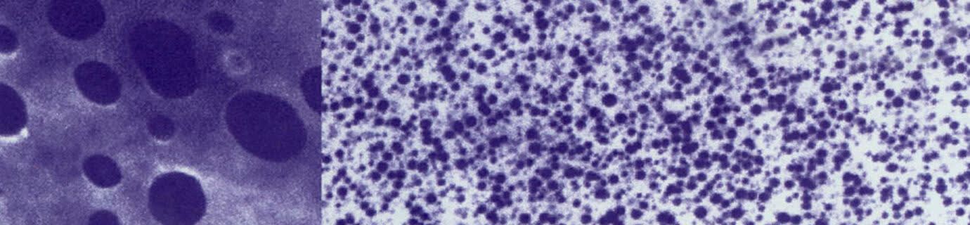 Adell™ Polyamide BR-13 banner